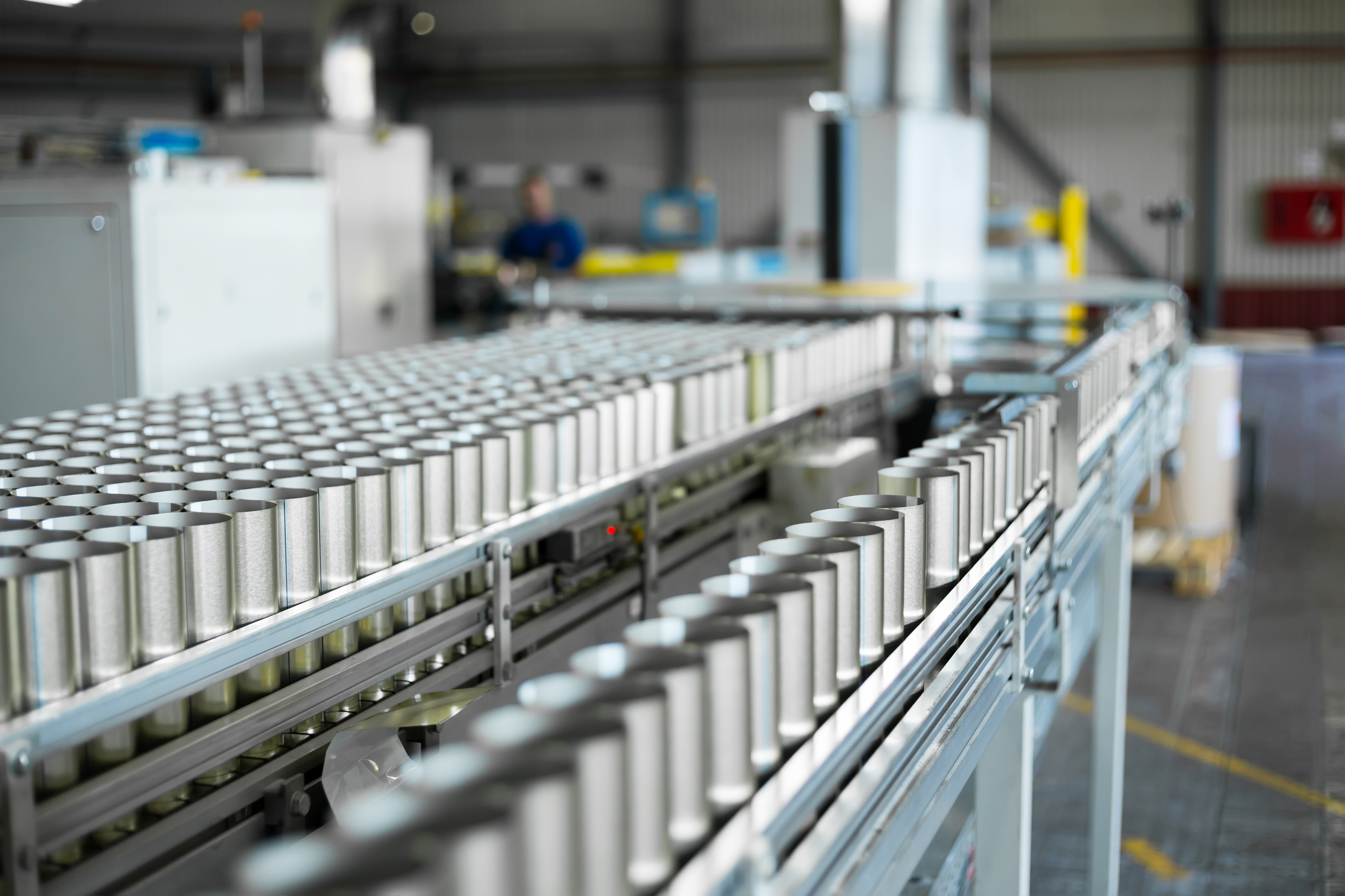 Canning and Pouch Filling Project (China)