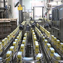 Carton Lines